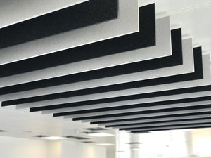 Acoustic Ceiling Baffle Raft