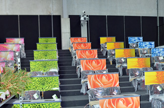 Acoustic panels on rear wall of Flower Auction Rooms.